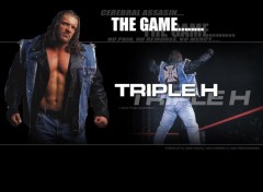 Wallpapers Sports - Leisures Triple H