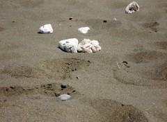 Fonds d'cran Nature PLAGE DE SABLE NOIR