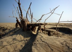 Fonds d'cran Nature A la plage...