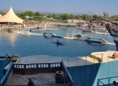 Fonds d'cran Nature marineland