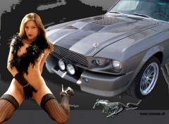 Fonds d'cran Erotic Art Hot Mustang