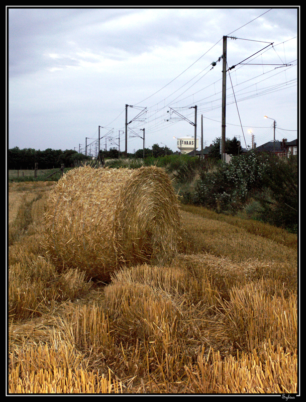 Wallpapers Nature Fields 