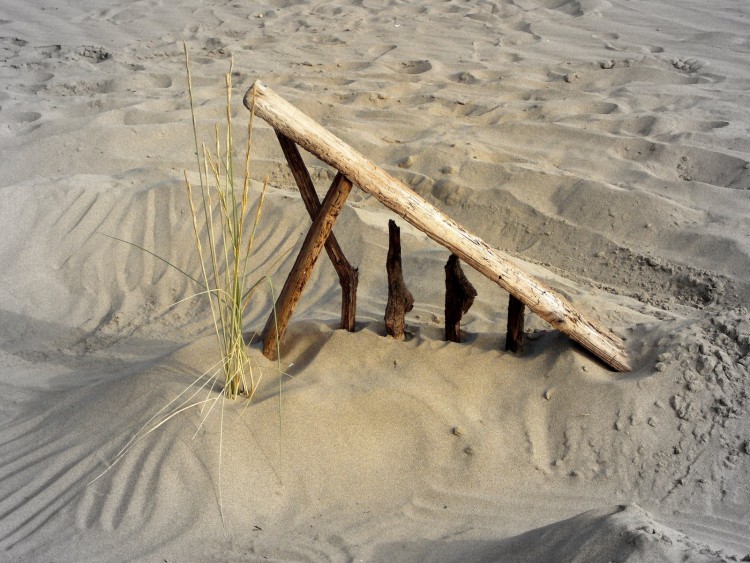 Fonds d'cran Nature Mers - Ocans - Plages travaux  la plage...