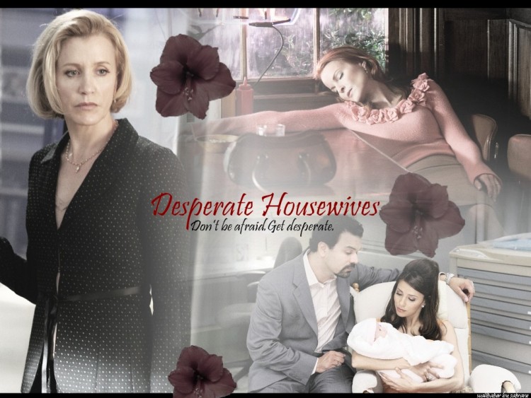 Fonds d'cran Sries TV Desperate Housewives Wallpaper N154509