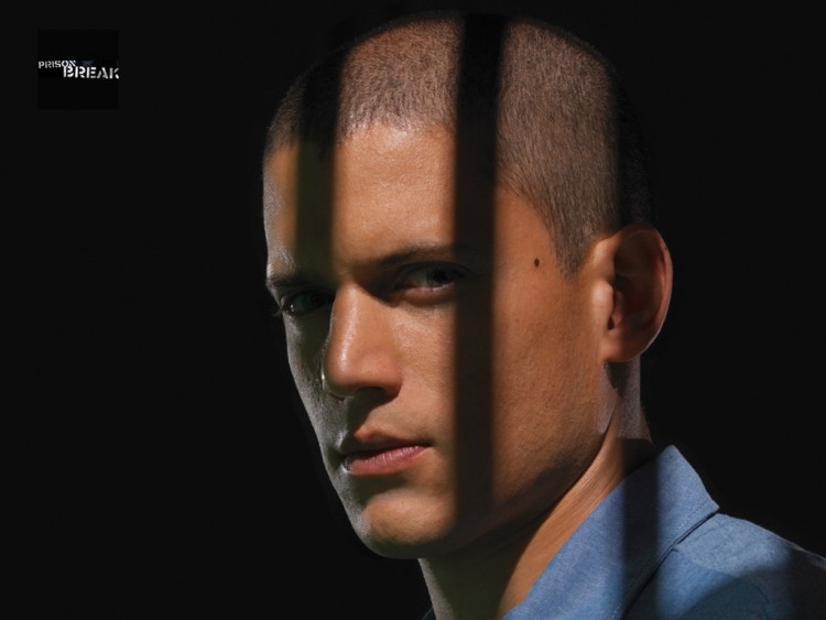 Wallpapers TV Soaps Prison Break Pb Scofield