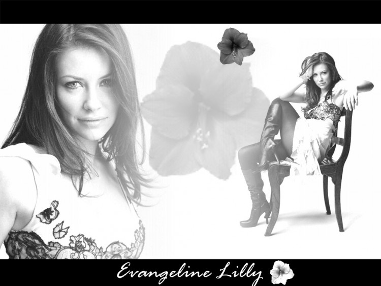 Wallpapers Celebrities Women Evangeline Lilly Wallpaper N154837