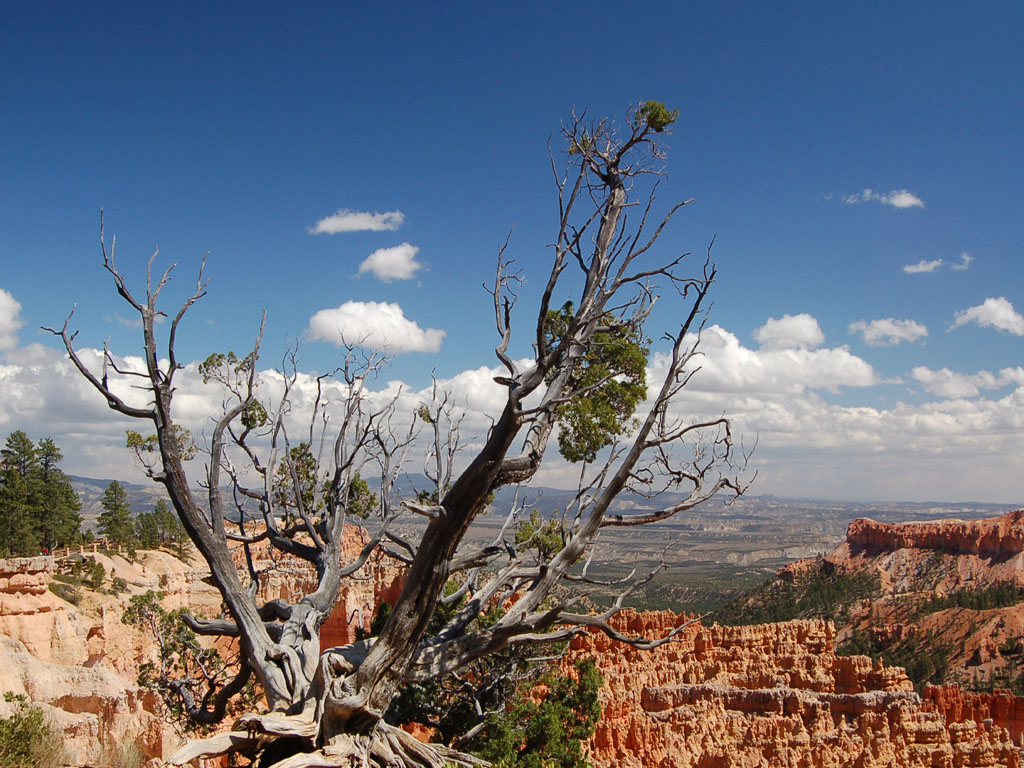 Fonds d'cran Nature Paysages Bryce Canyon