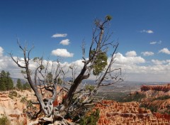 Fonds d'cran Nature Bryce Canyon