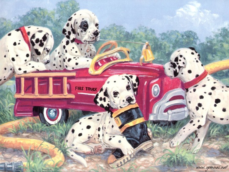 Wallpapers Art - Painting Animals Dalmatien