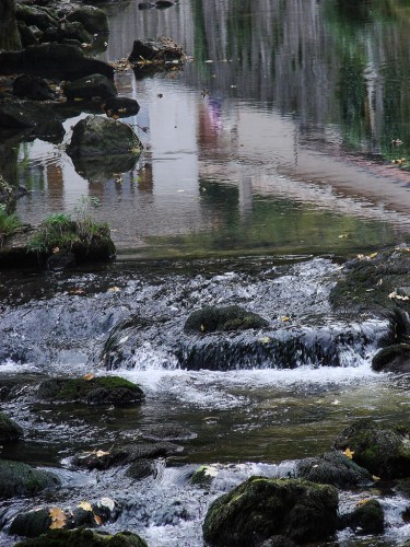 Wallpapers Nature Rivers - Torrents Petite rivire.