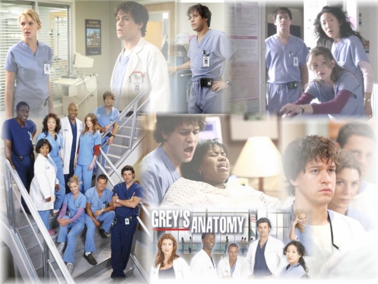 Fonds d'cran Sries TV Grey's Anatomy Wallpaper N155101