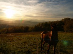 Wallpapers Nature Couch de soleil