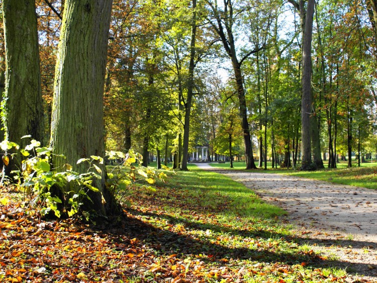 Fonds d'cran Nature Parcs - Jardins automne ensoleil