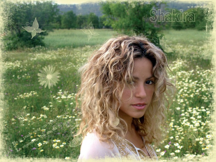 Wallpapers Music Shakira Shakira