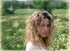 Wallpapers Music Shakira