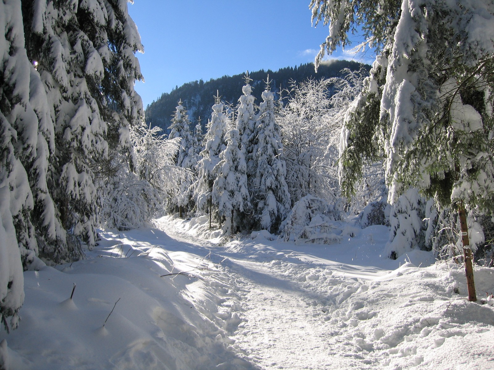 Fonds d'cran Nature Montagnes Isre, Chamrousse