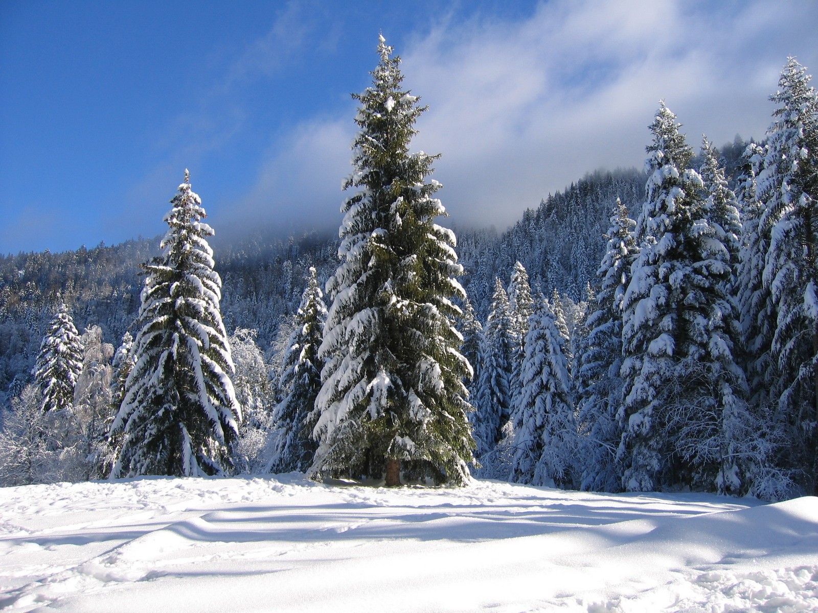 Fonds d'cran Nature Montagnes Isre, Chamrousse