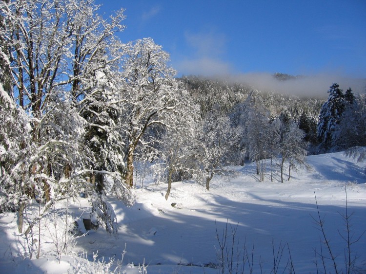 Fonds d'cran Nature Montagnes Isre, Chamrousse