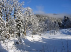 Fonds d'cran Nature Isre, Chamrousse