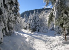 Fonds d'cran Nature Isre, Chamrousse