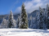 Fonds d'cran Nature Isre, Chamrousse