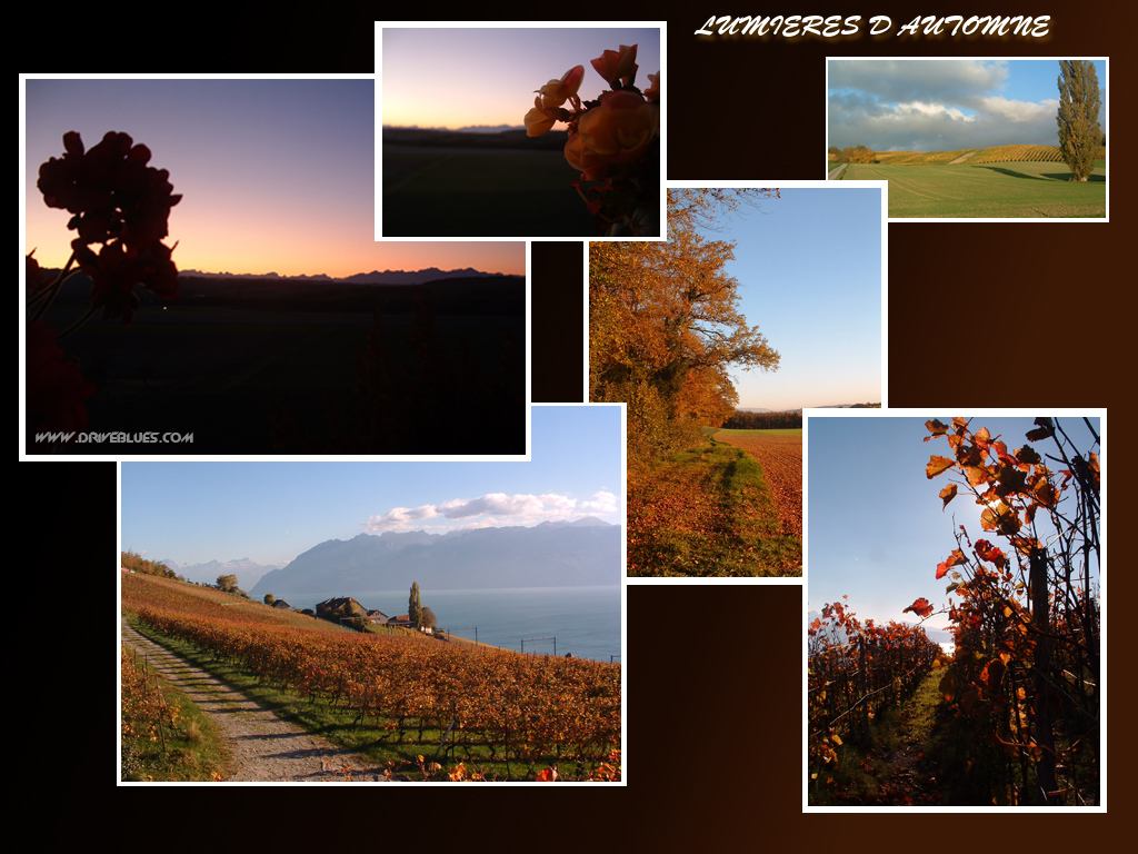 Fonds d'cran Nature Feuilles - Feuillages lumieres d'automne