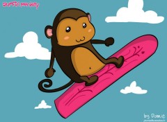 Fonds d'cran Art - Numrique Surfin' Monkey