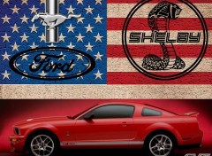 Wallpapers Cars Shelby Cobra GT500 (2005)