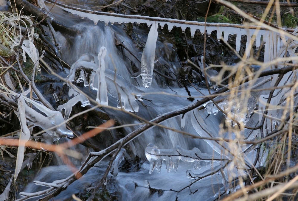 Fonds d'cran Nature Fleuves - Rivires - Torrents Glace matinale