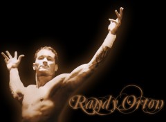 Wallpapers Sports - Leisures randy orton