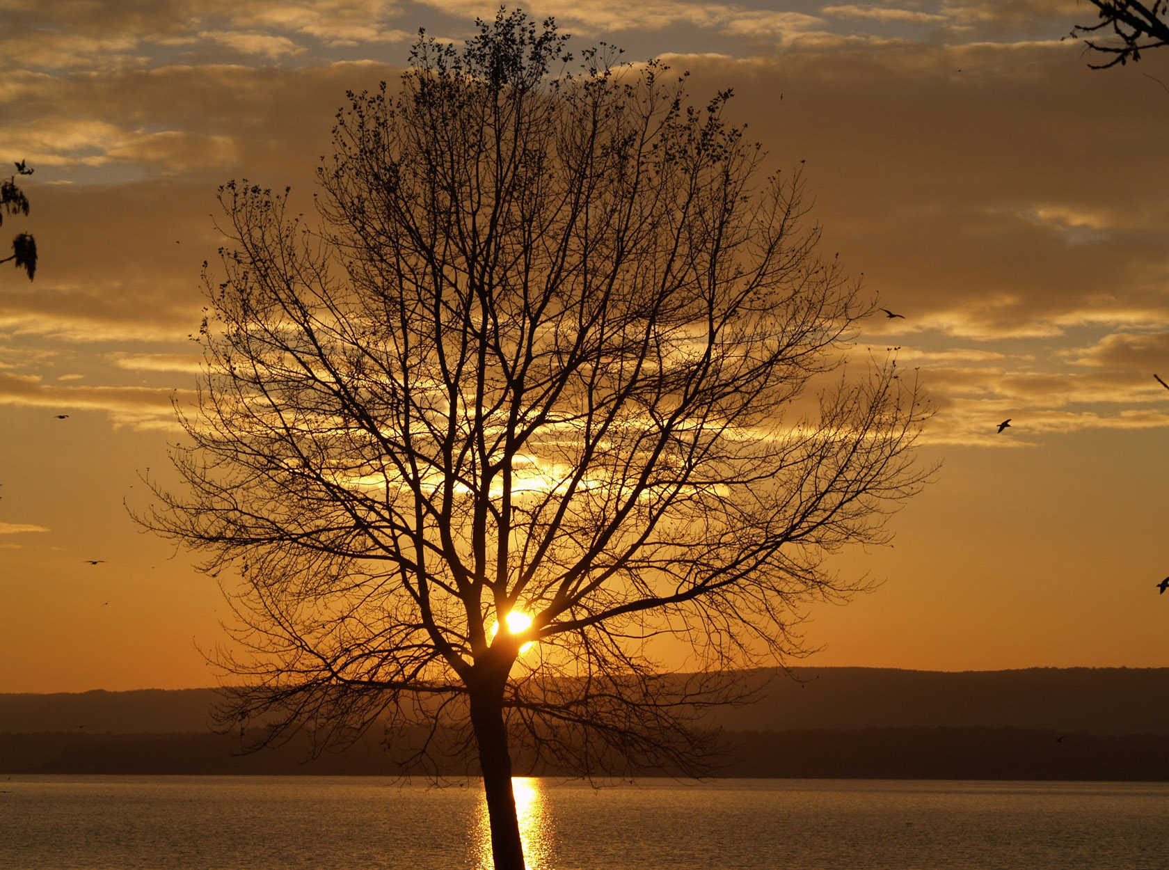 Fonds d'cran Nature Couchers et levers de Soleil CoucherSoleilMadine