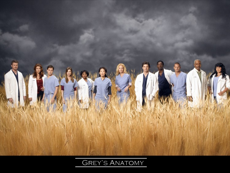 Fonds d'cran Sries TV Grey's Anatomy Grey's anatomy cast s3.