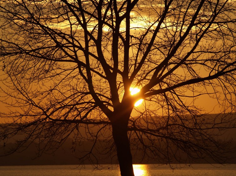 Fonds d'cran Nature Couchers et levers de Soleil CoucherSoleilMadine2