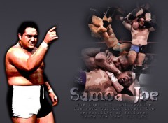 Wallpapers Sports - Leisures samoa joe