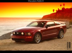 Wallpapers Cars Mustang