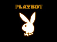 Fonds d'cran Grandes marques et publicit playboy brown