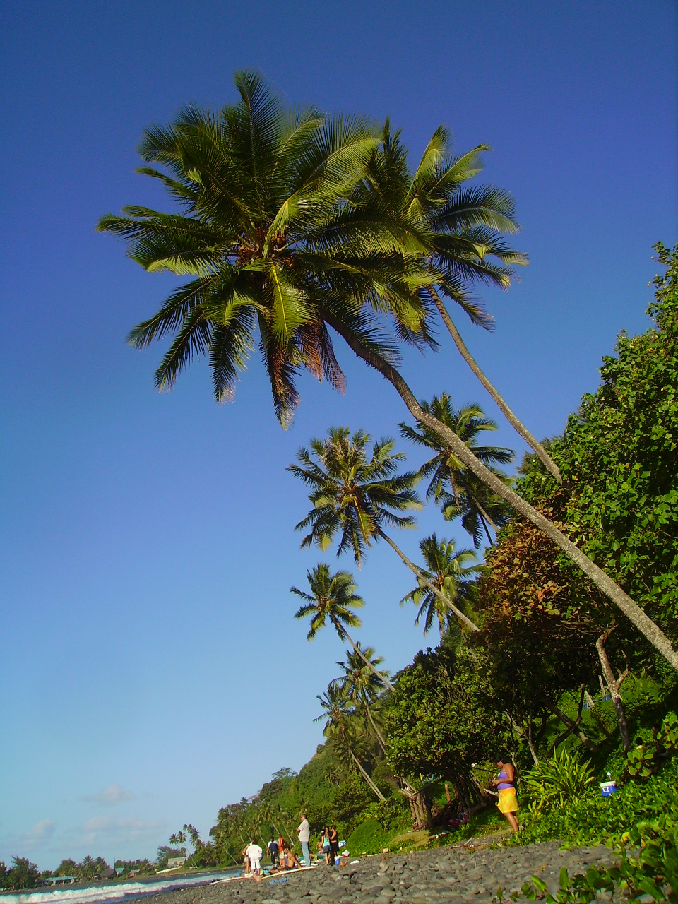 Wallpapers Nature Landscapes Plage de Tahiti