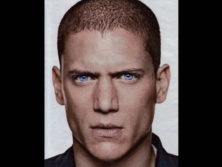 Fonds d'cran Clbrits Homme Wentworth Miller Wentworth Miller