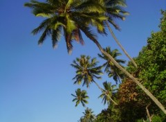 Wallpapers Nature Plage de Tahiti