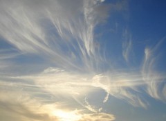 Fonds d'cran Nature ANGES DANS LE CIEL