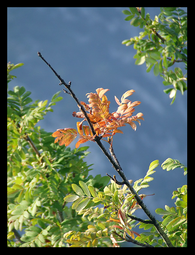 Fonds d'cran Nature Saisons - Automne Automne