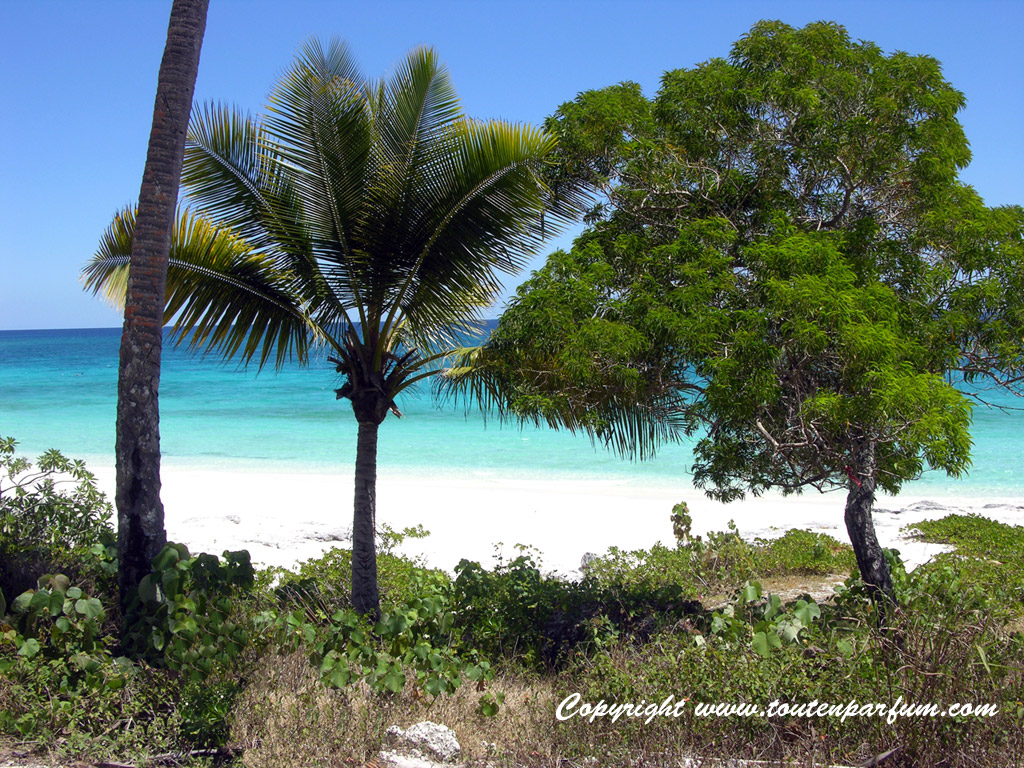 Wallpapers Trips : Oceania New Caledonia Lifou - Nouvelle Caldonie