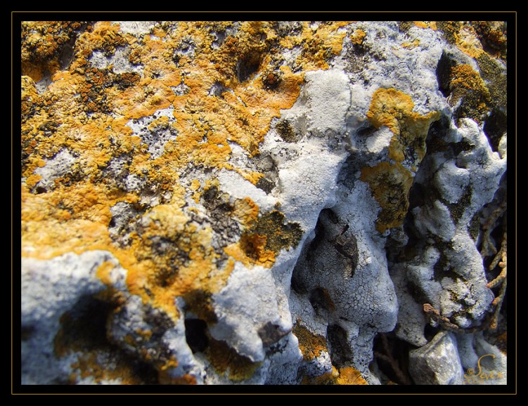 Wallpapers Nature Rocks - Stones - Sand Pierre