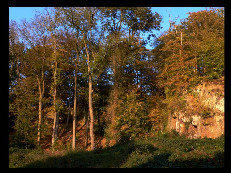 Fonds d'cran Nature Saisons - Automne novembre