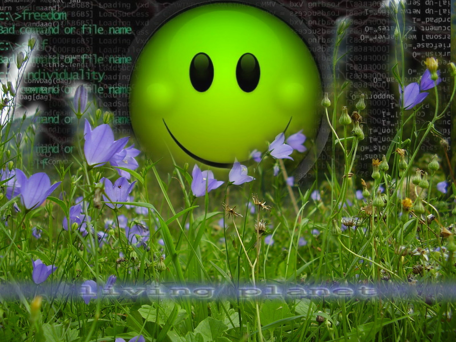 Fonds d'cran Informatique Smileys smi.fl