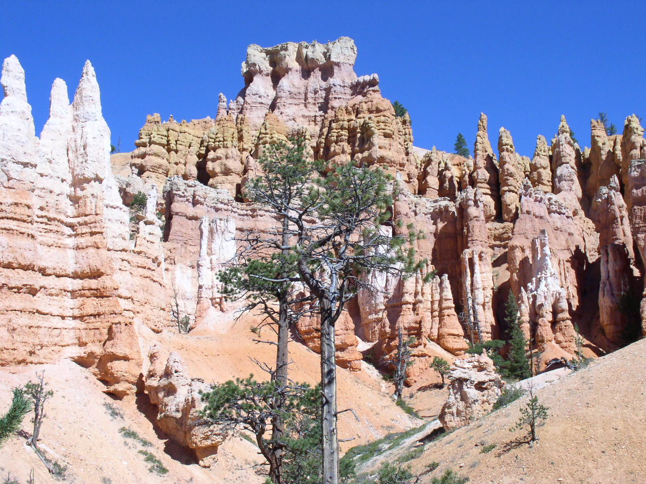 Wallpapers Nature Canyons Bryce Canyon