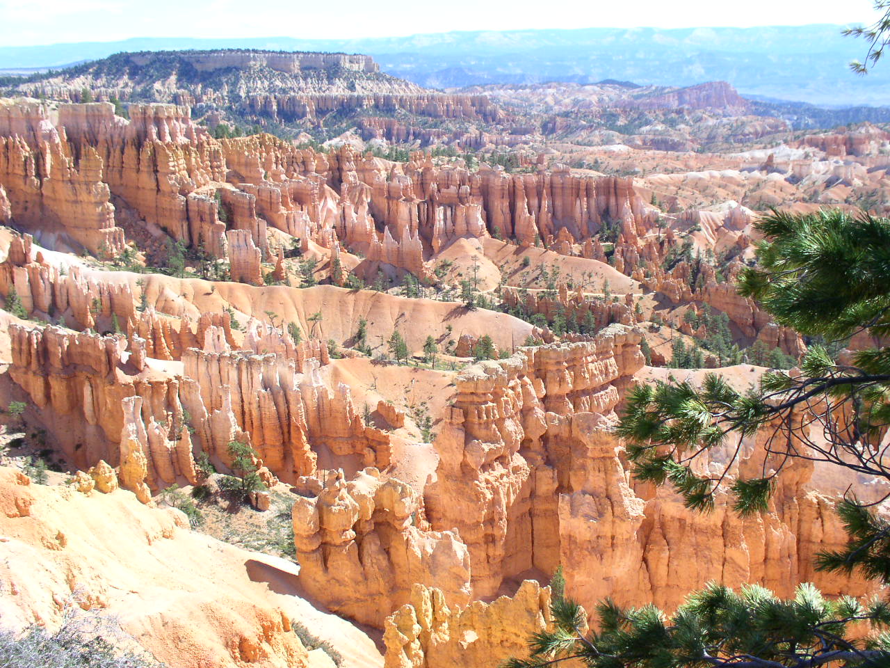 Fonds d'cran Nature Canyons Bryce canyon