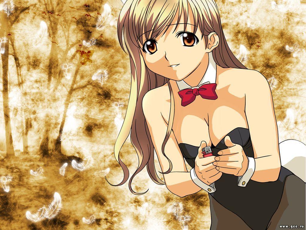 Wallpapers Manga Girl bunny girl S1