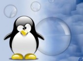 Wallpapers Digital Art Tux Glace