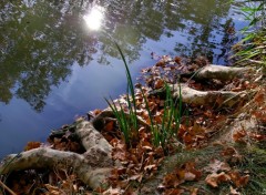 Wallpapers Trips : Europ Canal du Midi